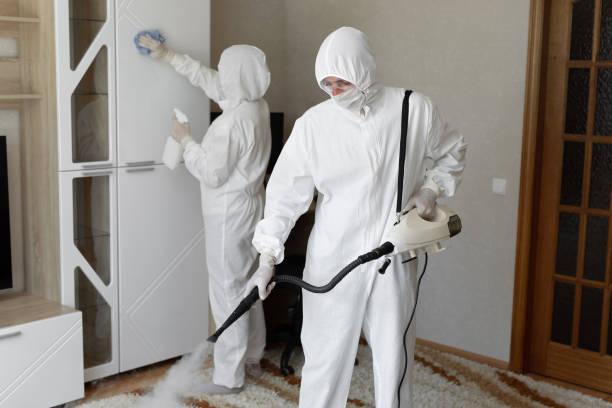 Certified Mold Removal in Castalia, OH