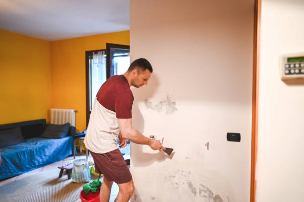 Best Crawl Space Mold Removal  in Castalia, OH