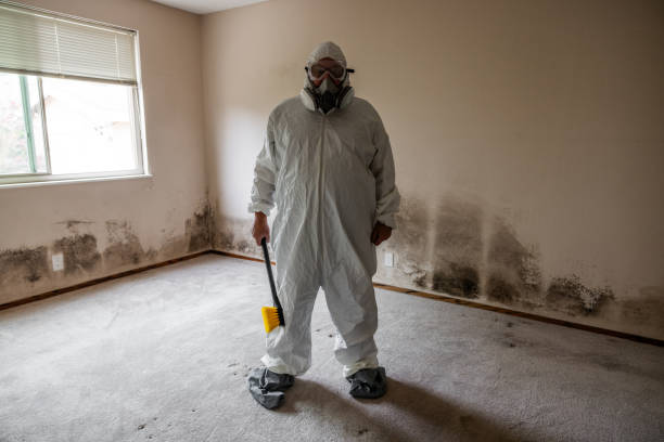 Best Mold Remediation Services  in Castalia, OH